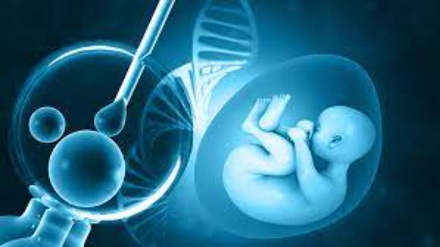 Θεραπεία εξωσωματικής γονιμοποίησης στην Τουρκία